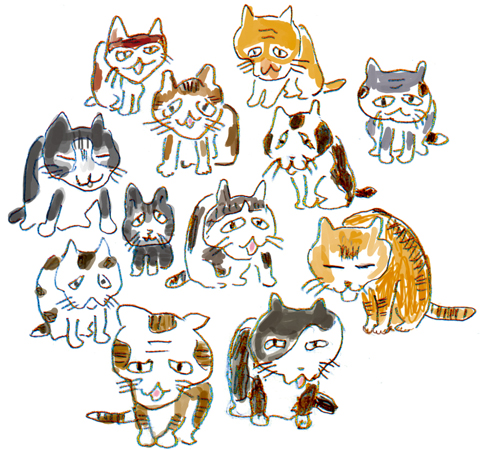 猫たち