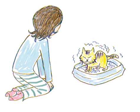 おトイレ猫