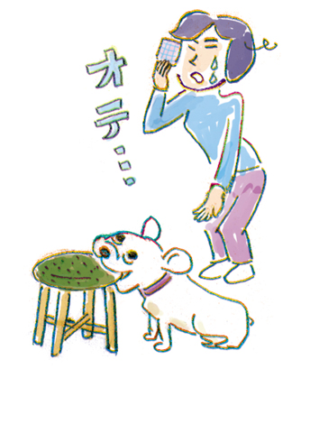 椅子を齧る犬